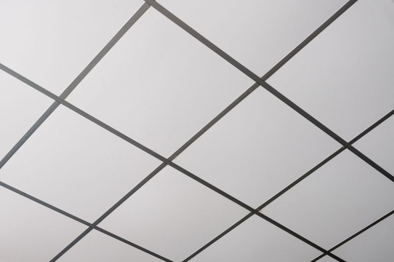 Installing Ceiling Tiles